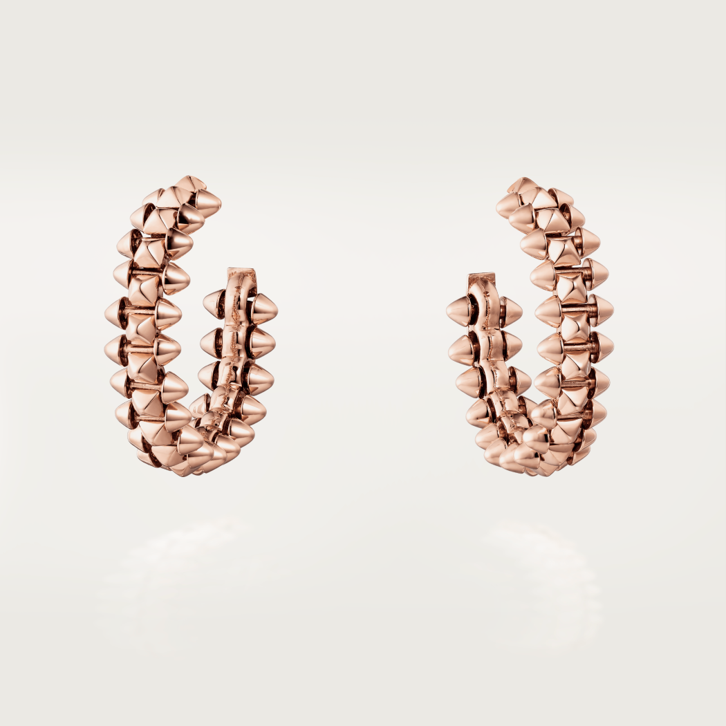 ¡®Sprite Jewelry¡¯CLASH SMALL HOOP EARRINGS